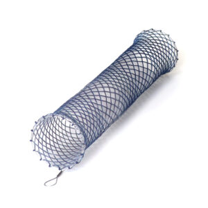 STENT DANIS BASICO