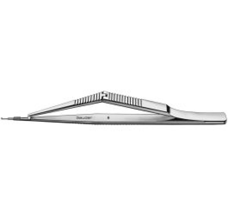 G18238-geuder