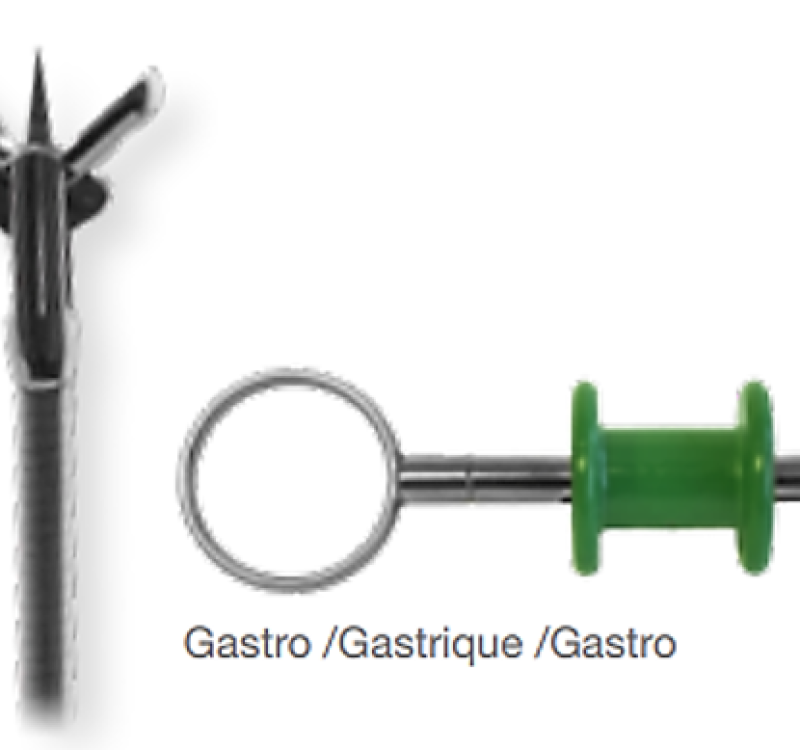 Pinza gastro-diente